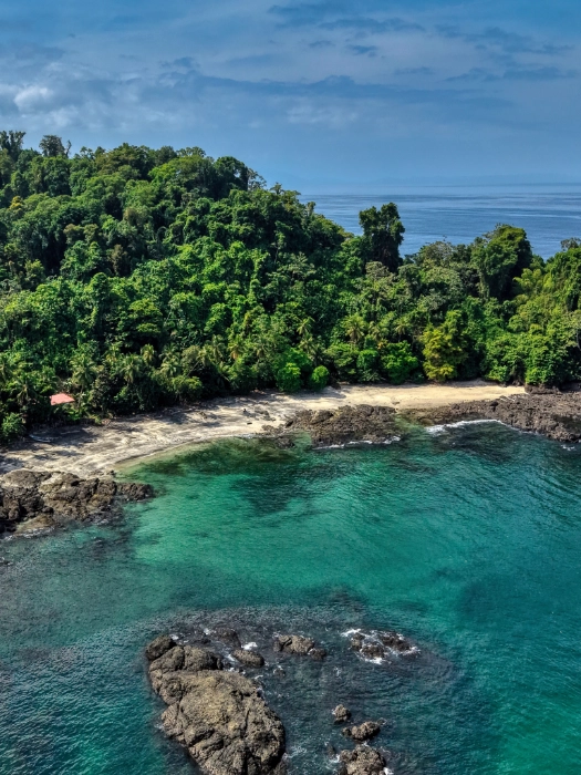 Toma aérea de una pequeña playa escondida de arena clara y aguas cristalinas de color verde turquesa, rodeada por una exuberante e intensa vegetación selvática y formaciones rocosas en el mar.