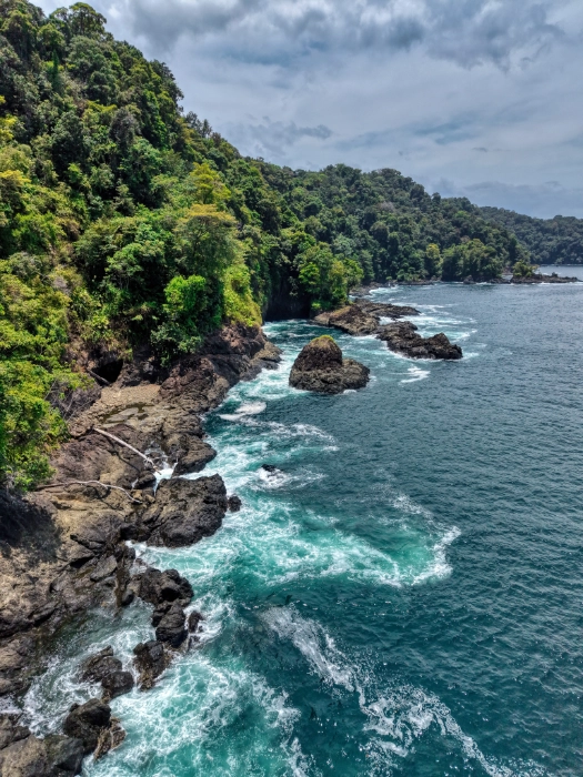 Vista aérea de una costa rocosa e imponente bordeada por una densa selva verde, con olas de agua turquesa y espuma blanca rompiendo contra las rocas oscuras del acantilado.