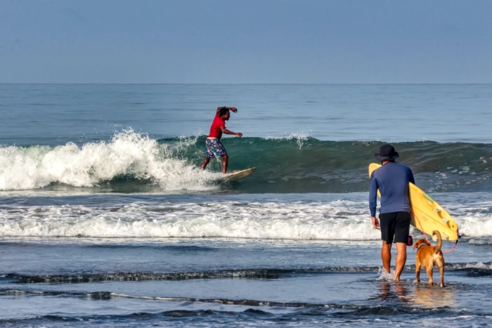 Vista de un surfista con camiseta roja corriendo una ola en el mar, mientras en primer plano otro hombre de espaldas, con gorro, licra azul y una tabla de surf amarilla bajo el brazo, camina hacia el agua junto a un perro de color café.